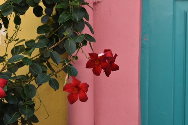 evi-kalemi-sBRwXEtHxtE-unsplash