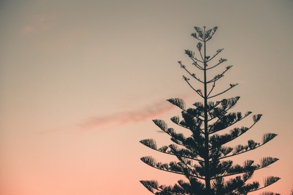 filippos-sdralias-AmfzBL43I2I-unsplash