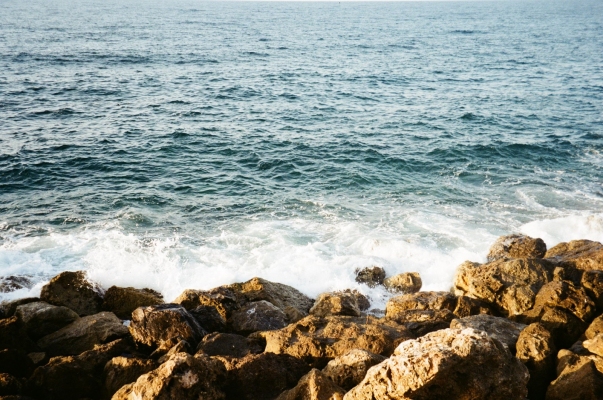 marina-t-CBqnpgZTvkA-unsplash